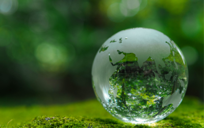 La finance durable : un enjeu pour les TPE et PME